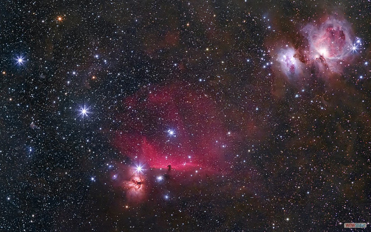 2021_Orion