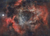Rosettennebel (NGC2337-9)