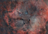 IC1396