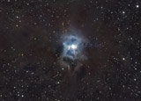 Irisnebel (NGC7023)