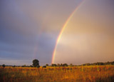 Regenbogen