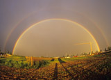 Regenbogen