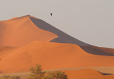 Sossusvlei (Namibia)