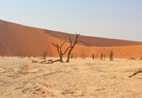 Sossusvlei (Namibia)