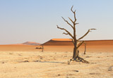 Sossusvlei (Namibia)